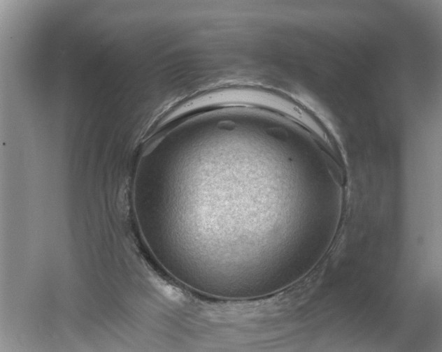 X0000053020009200507152026