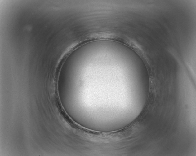 X0000053020012200507152026