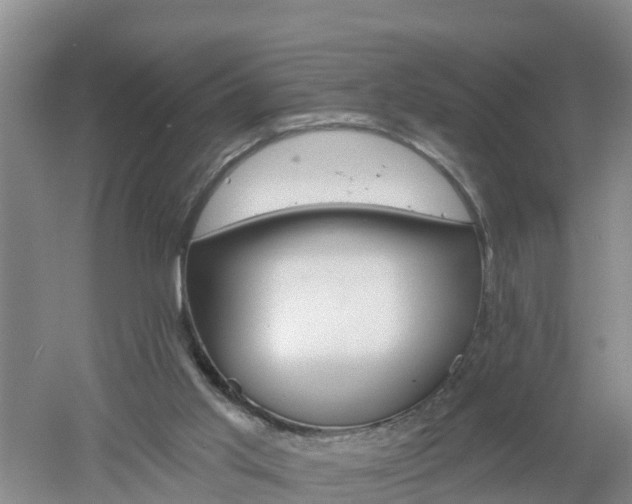 X0000053020013200507152026