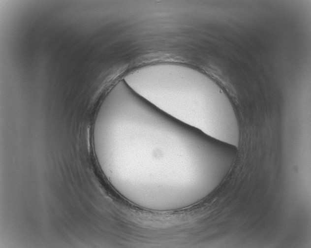 X0000053020014200507152026