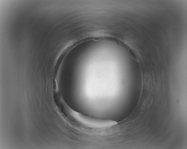 X0000053020015200507152026