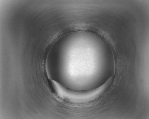 X0000053020017200507152026