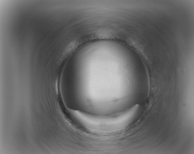 X0000053020019200507152026