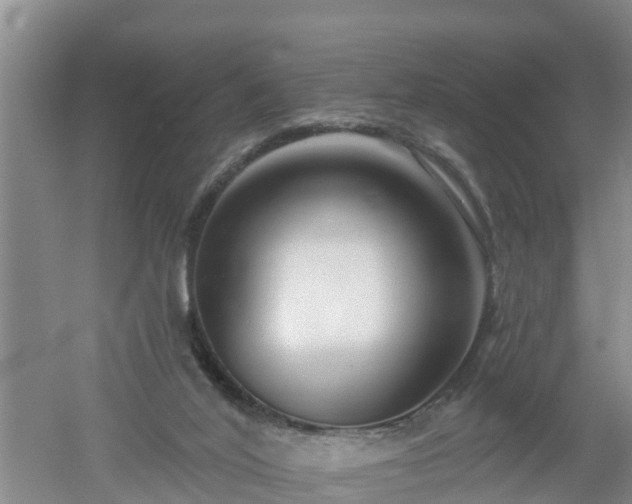 X0000053020020200507152026