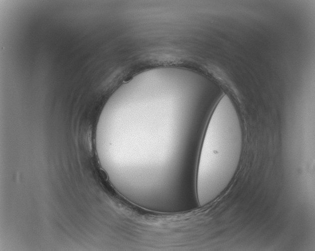 X0000053020021200507152026