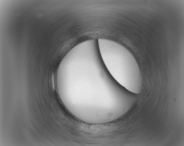 X0000053020022200507152026