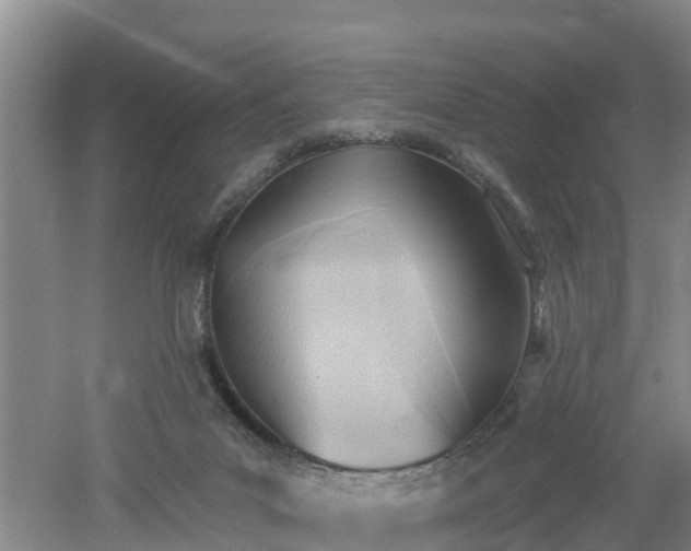 X0000053020023200507152026