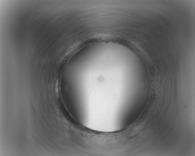 X0000053020024200507152026