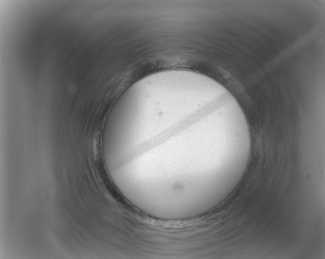 X0000053020026200507152026