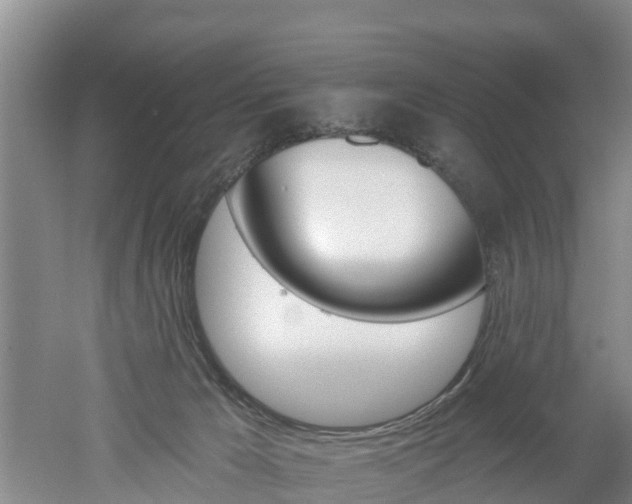 X0000053020029200507152026