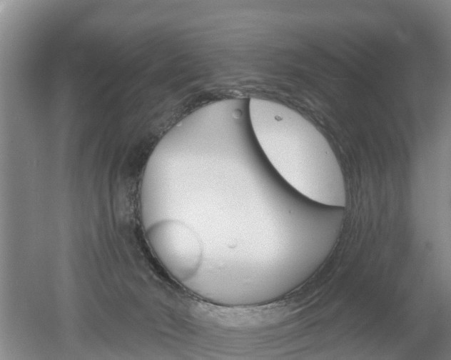 X0000053020030200507152026