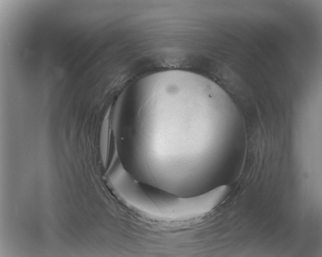 X0000053020031200507152026