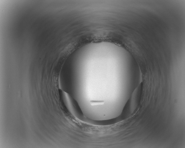 X0000053020033200507152025