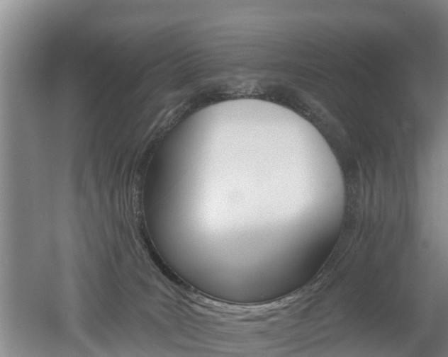 X0000053020035200507152025