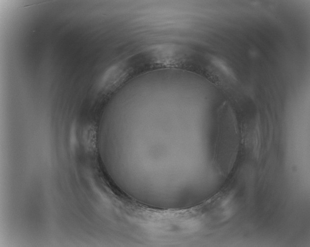 X0000053020036200507152025