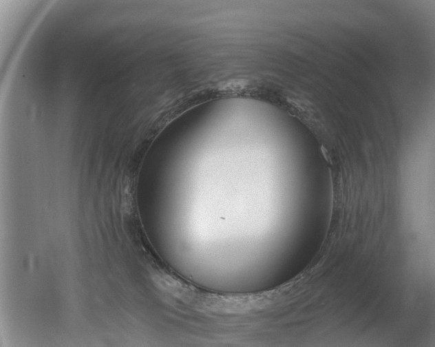 X0000053020037200507152025