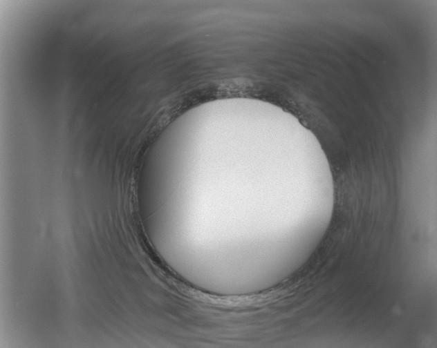 X0000053020038200507152025