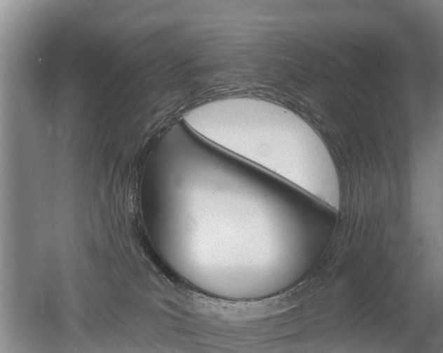 X0000053020039200507152025