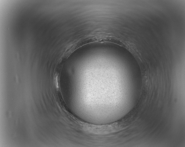 X0000053020042200507152025