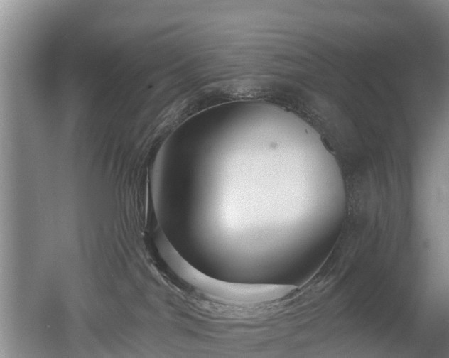 X0000053020044200507152025