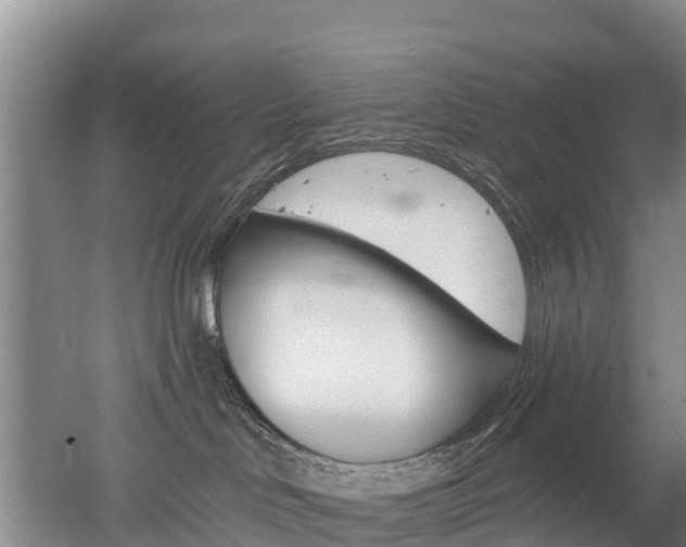 X0000053020046200507152025