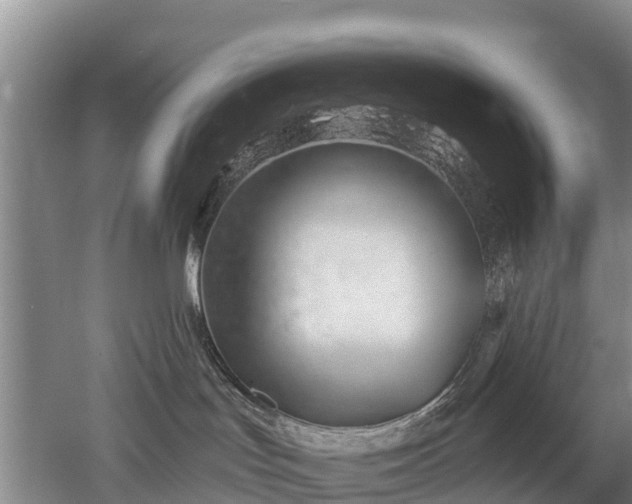 X0000053020047200507152025