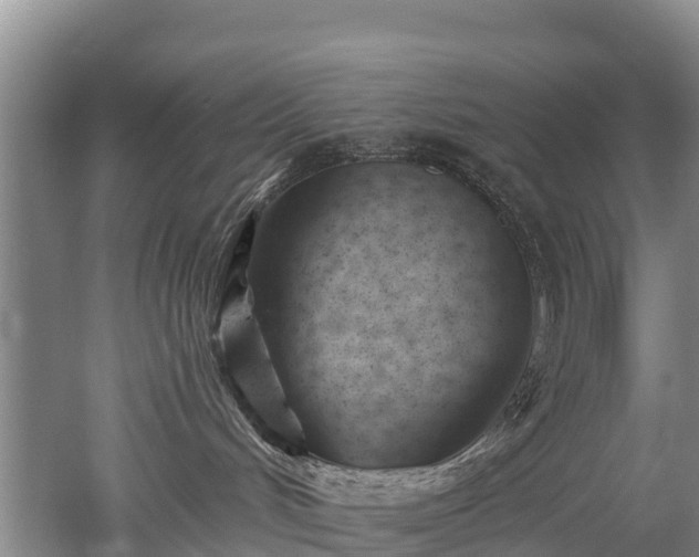 X0000053020048200507152025