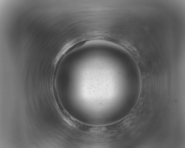 X0000053020051200507152024