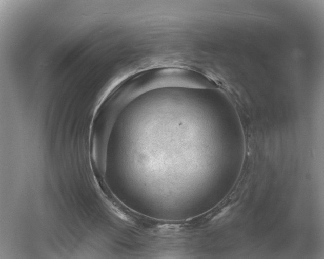 X0000053020052200507152024