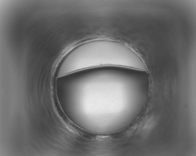 X0000053020055200507152025