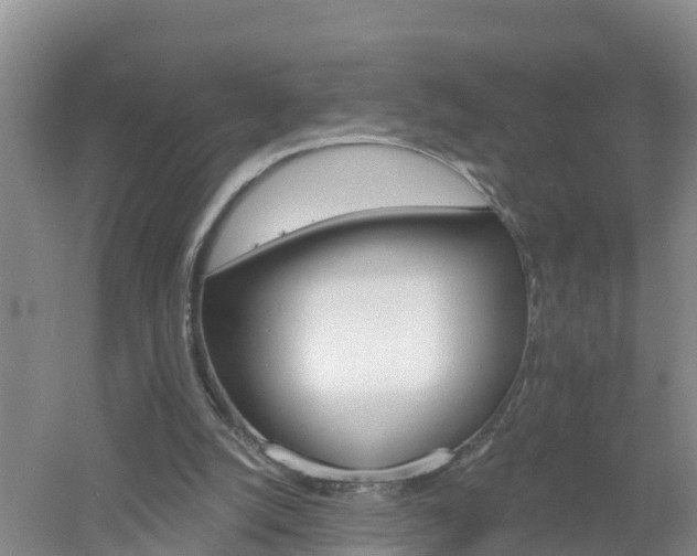 X0000053020056200507152025