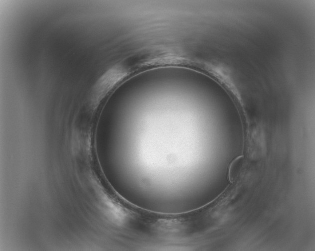 X0000053020057200507152025