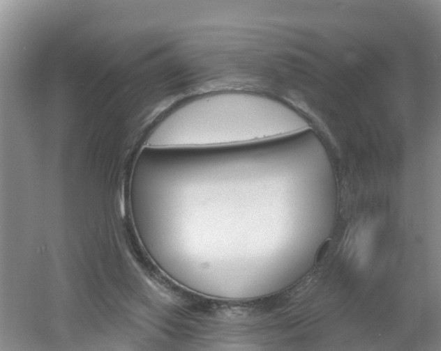 X0000053020062200507152025