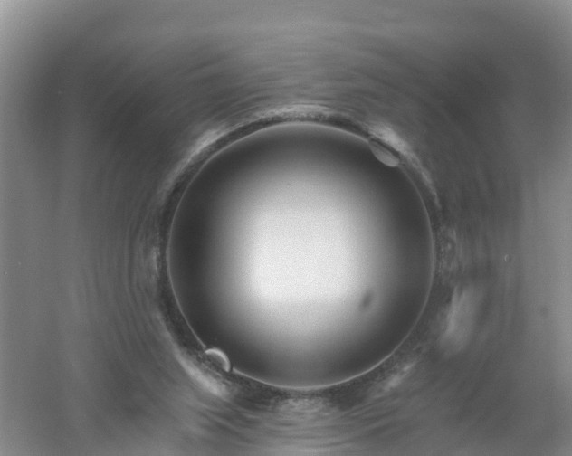 X0000053020063200507152025