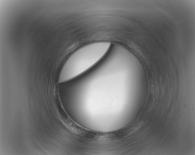 X0000053020072200507152025