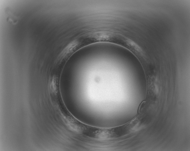 X0000053020074200507152025