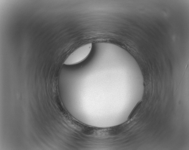 X0000053020078200507152025