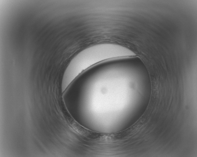 X0000053020080200507152025