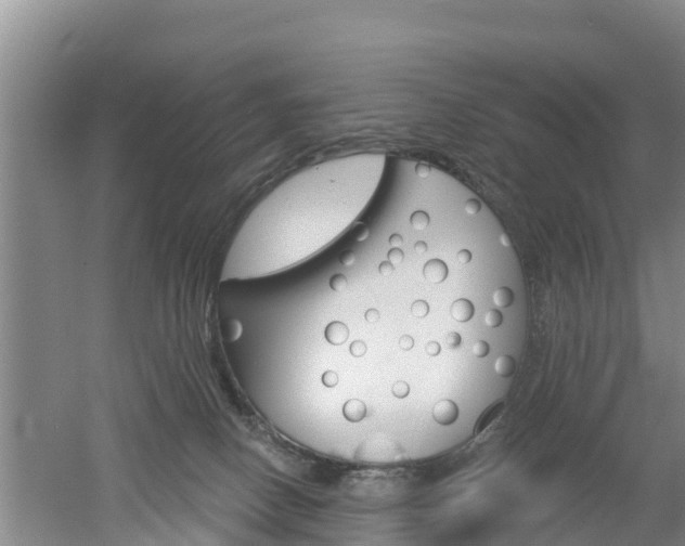 X0000053020082200507152025