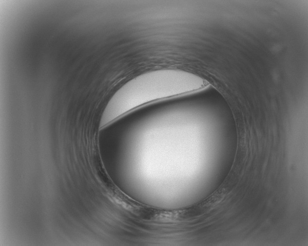 X0000053020084200507152025