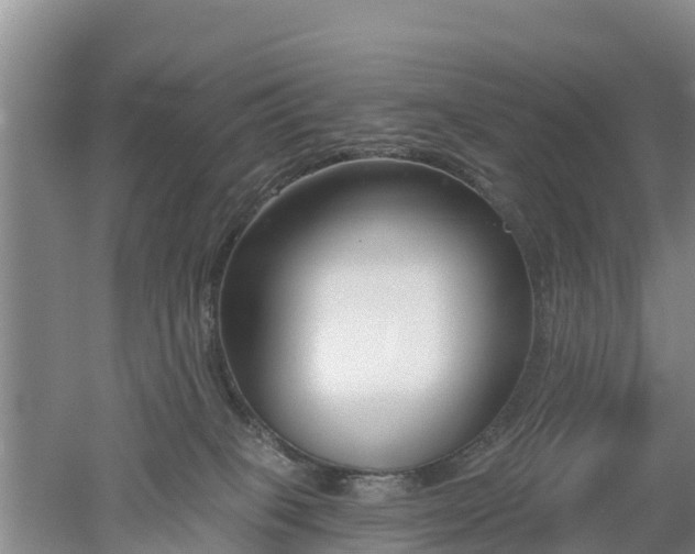 X0000053020085200507152025