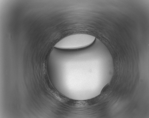 X0000053020087200507152025