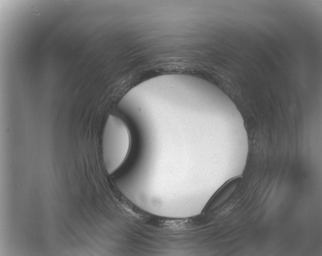 X0000053020089200507152025