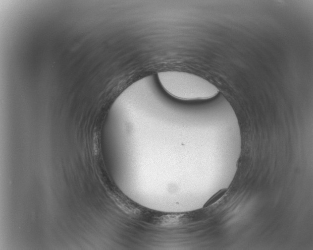 X0000053020090200507152025