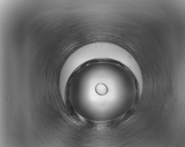 X0000053020092200507152025