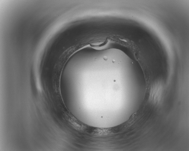 X0000053020093200507152025