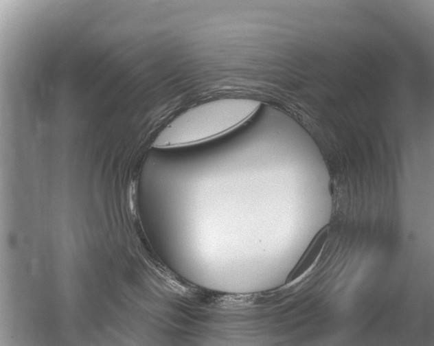 X0000053020094200507152025