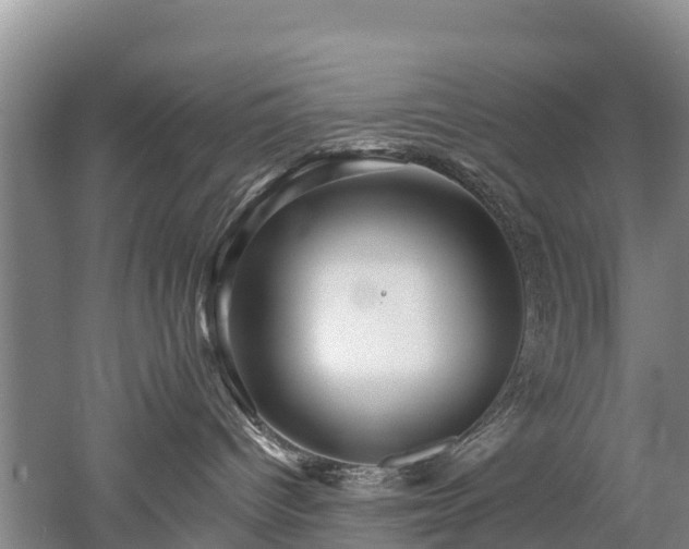 X0000053020096200507152025