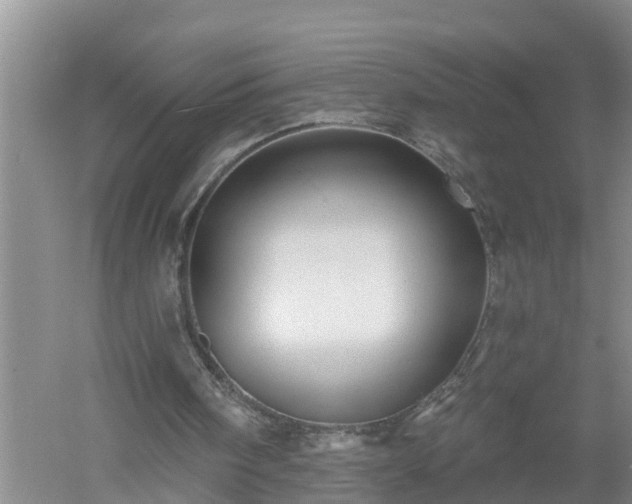 X0000053020098200507152024