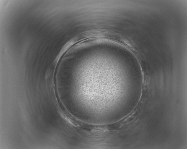 X0000053020099200507152024